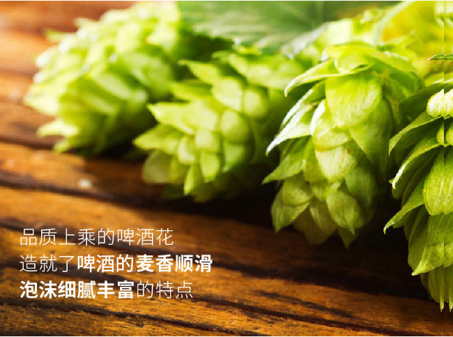 8090后啤酒·青春活力金罐330ml